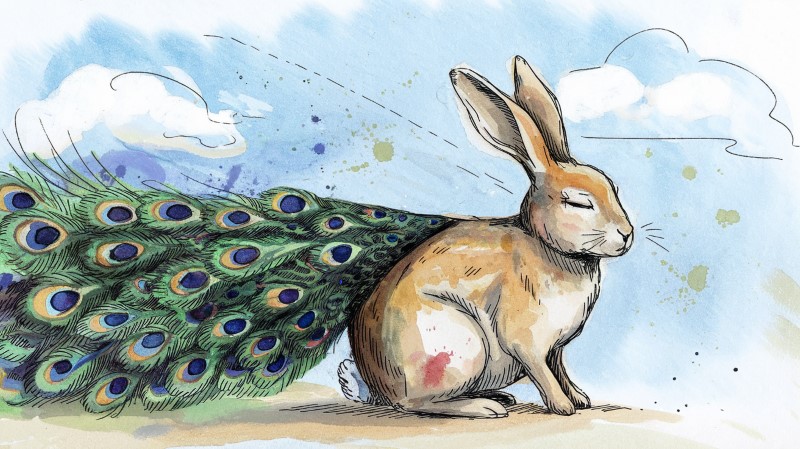 a watercolor sketch of a rabbit with a peacock feathered tail