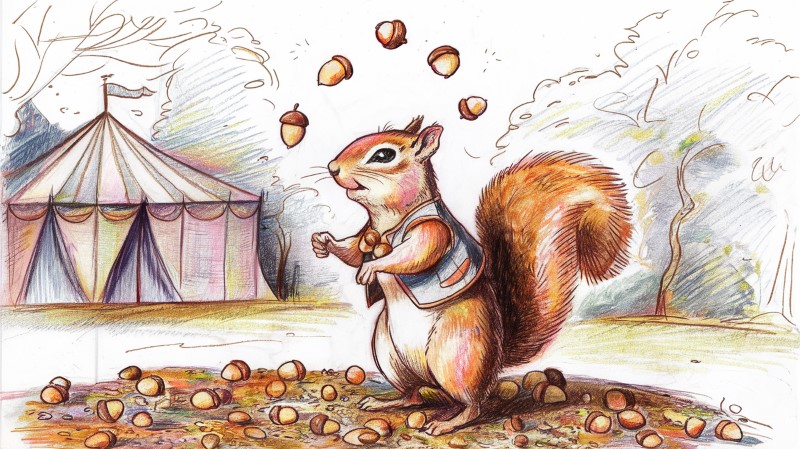 a colored sketch of a squirrel juggling acorns