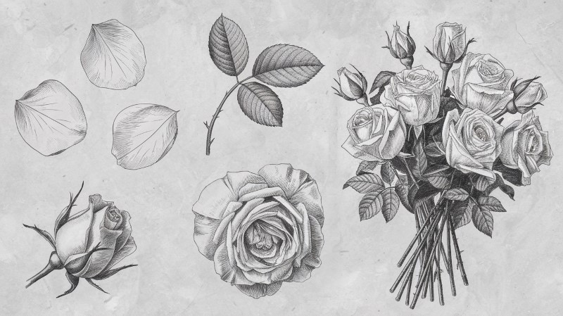 a few small pencil study sketches of the rose petals, rose leaf, and a bouquet of roses